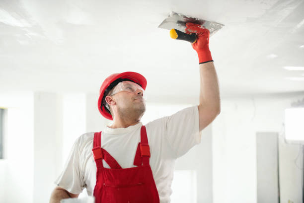 Best Fire-Damaged Drywall Repair  in Kokomo, IN